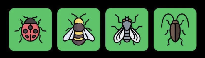 FLIES Daily Combo 9 June 2025